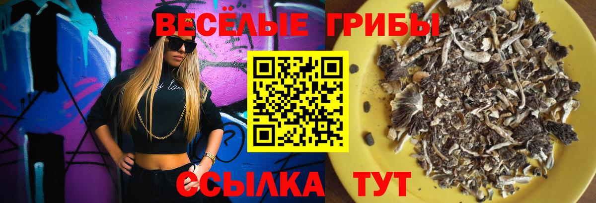 Галлюциногенные грибы мухоморы Лесозаводск