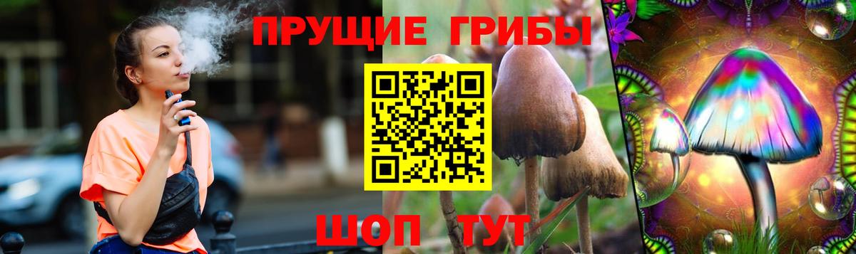 Галлюциногенные грибы мицелий  Вход с VPN  Лесозаводск  Псилоцибиновые грибы Magic Shrooms 